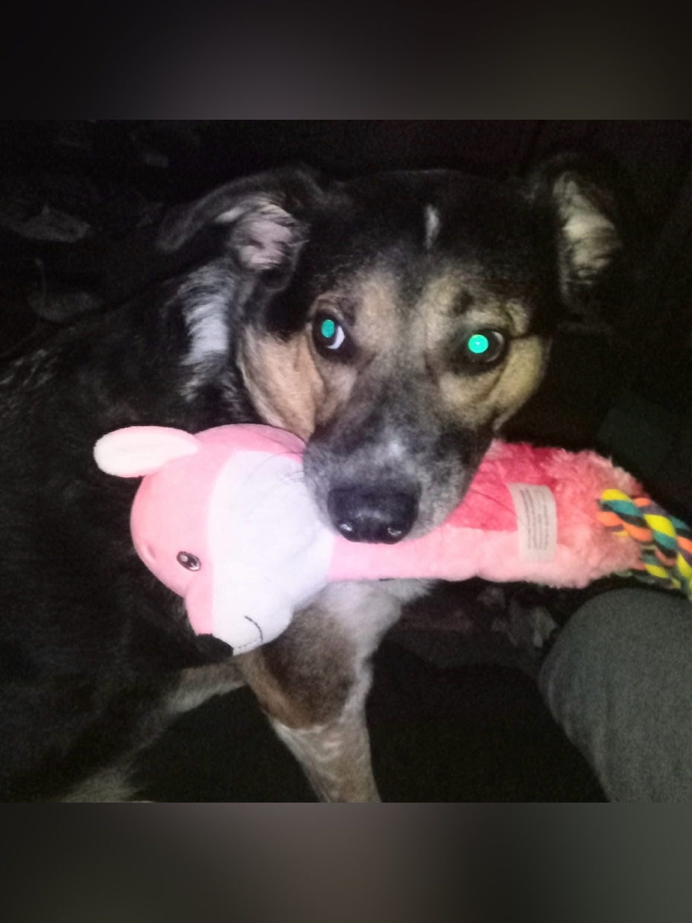 Birthday celebration flyer - Picture 9 of 13